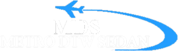 Metro DTW Sedan logo